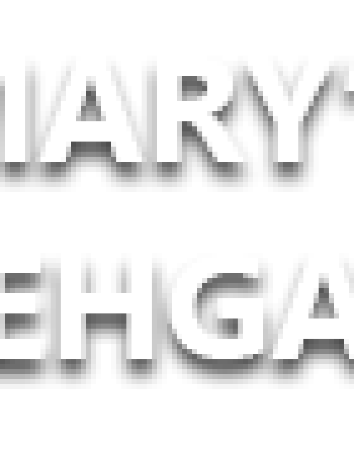 logo-stmary